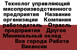 Технолог-управляющий мясопроизводственного предприятия › Название организации ­ Компания-работодатель › Отрасль предприятия ­ Другое › Минимальный оклад ­ 80 000 - Все города Работа » Вакансии   . Мурманская обл.,Оленегорск г.
